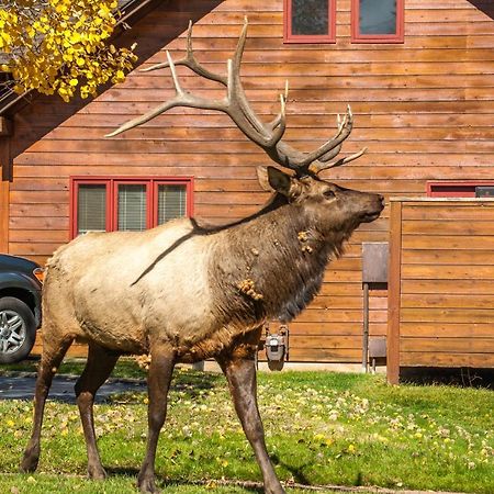 Rams Horn Village Resort Estes Park Buitenkant foto